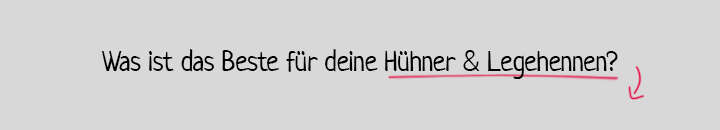 huehner huehner